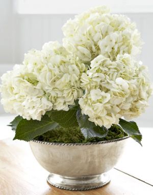 Countryliving.com - Lulu Powers - white hydrangeas in silver container.jpg